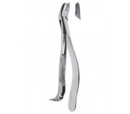 Extracting Forceps